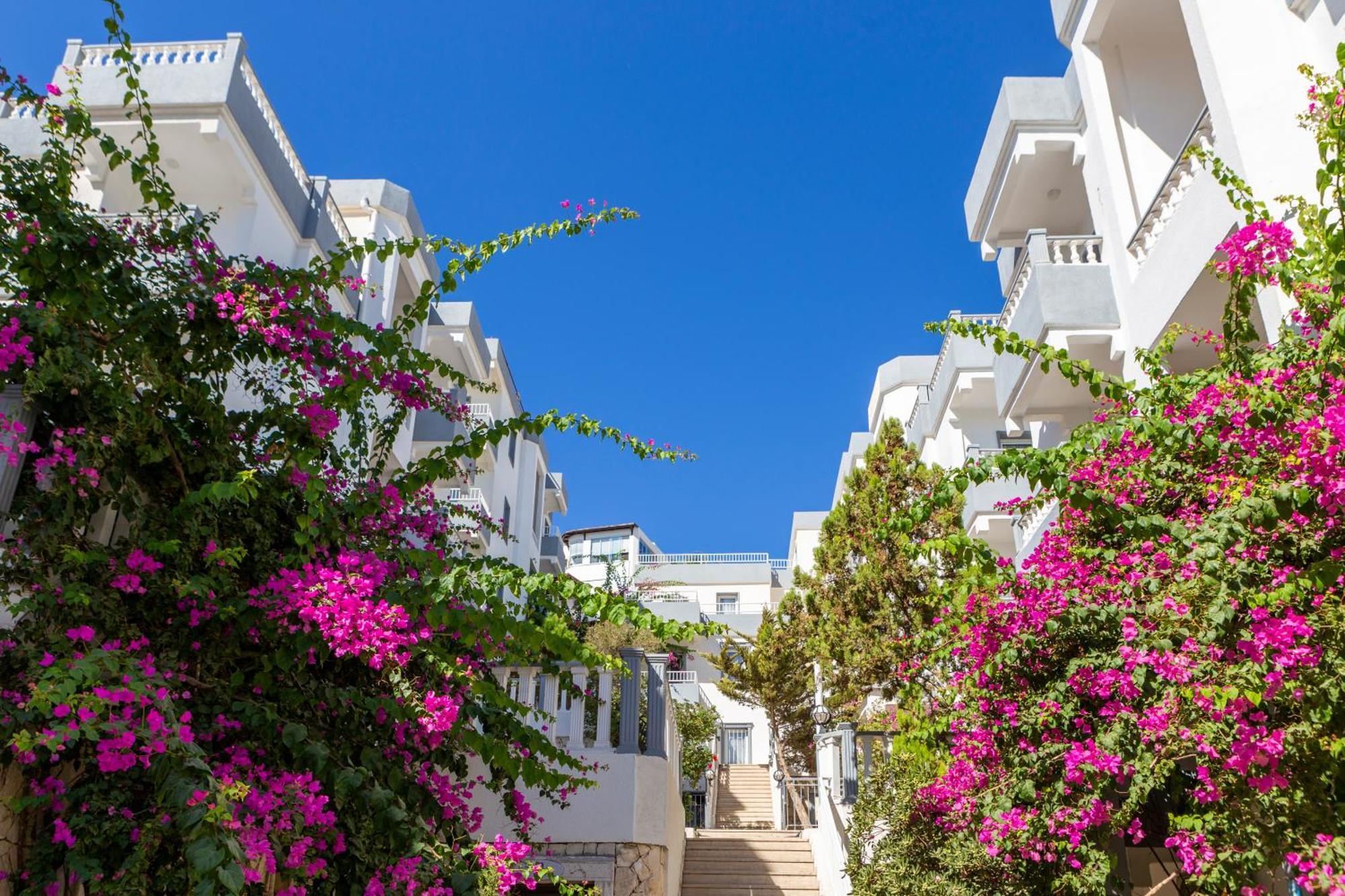 Hotel Smart Bodrum 4*
